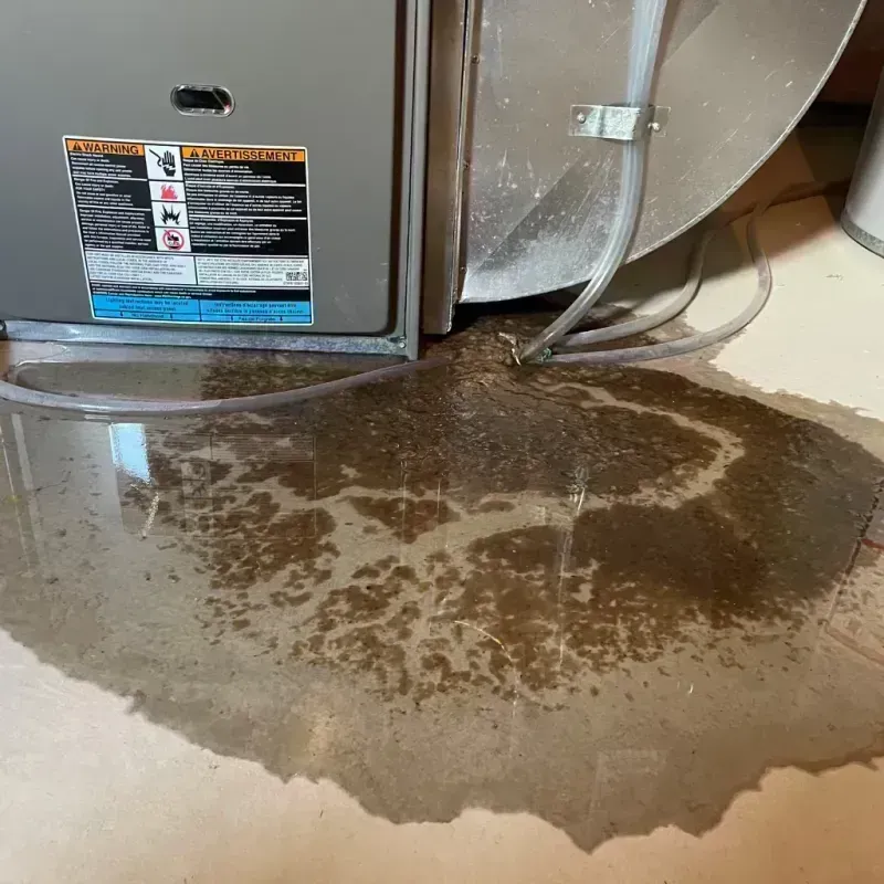 Appliance Leak Cleanup in Robertsdale, AL